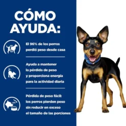 Hill's Prescription Diet Metabolic Mini Weight Loss ração para cães