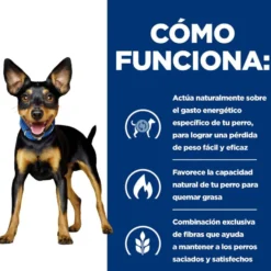 Hill's Prescription Diet Metabolic Mini Weight Loss ração para cães