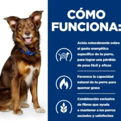 Hill's Prescription Diet Metabolic ração para cães