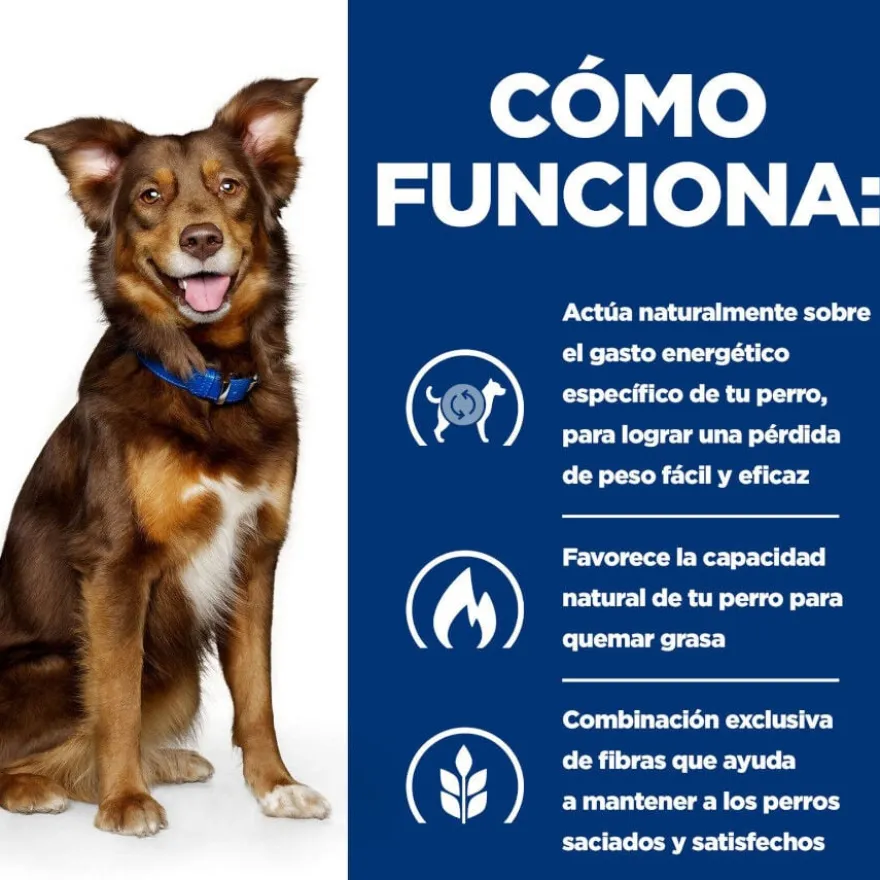 Hill's Prescription Diet Metabolic ração para cães