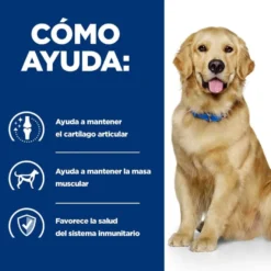 Hill's Prescription Diet Mobility J/D Frango ração para cães