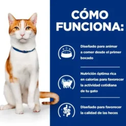 Hill's Prescription Diet ON-Care Frango ração para gatos