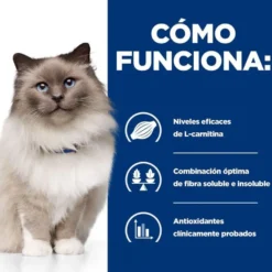 Hill's Prescription Diet r/d Weight Loss Frango ração para gatos