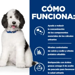 Hill's Prescription Diet Urinary Care c/d Frango ração para cães