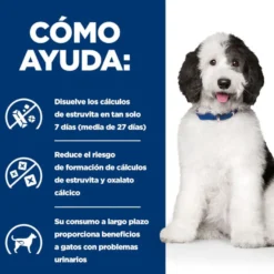 Hill's Prescription Diet Urinary Care c/d Frango ração para cães