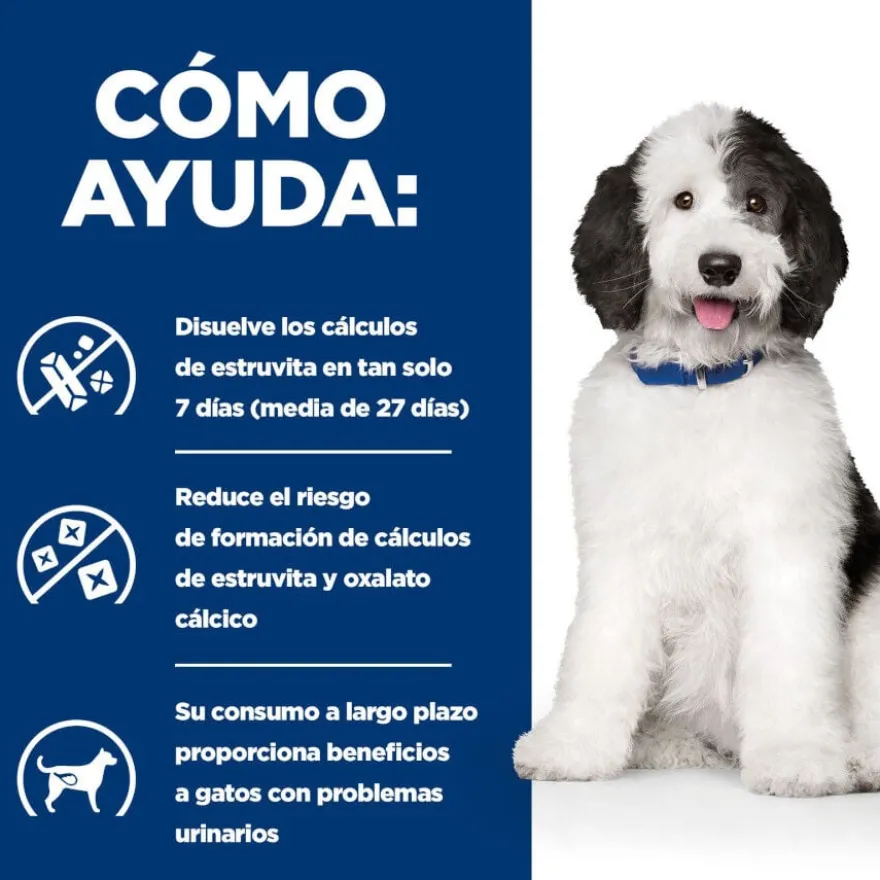 Hill's Prescription Diet Urinary Care c/d Frango ração para cães