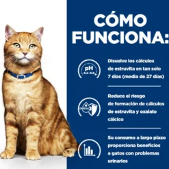 Hill's Prescription Diet Urinary Care c/d Ração de frango para gatos