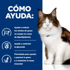 Hill's Prescription Diet w/d Weigth Management Frango ração para gatos