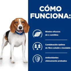 Hill's Prescription Diet Weight Loss r/d Frango ração para cães