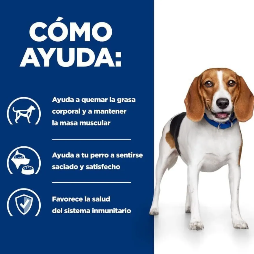 Hill's Prescription Diet Weight Loss r/d Frango ração para cães