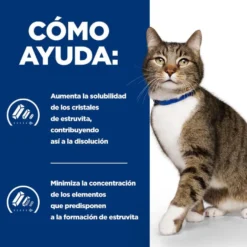 Hill's Prescription Urinary Care Frango ração para gatos