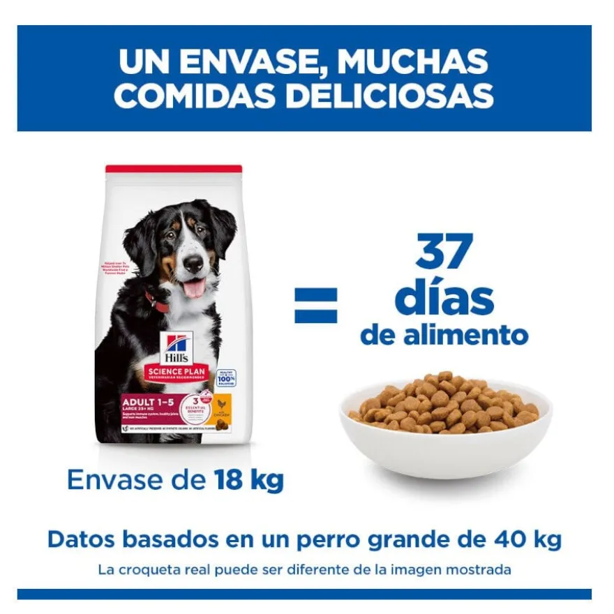Hill's Science Plan Adult Large Breed Ração de frango para cães de raças grandes