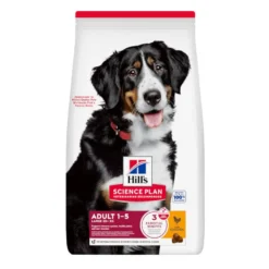 Hill's Science Plan Adult Large Breed Ração de frango para cães de raças grandes