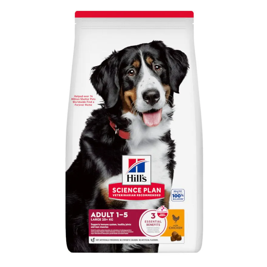 Hill's Science Plan Adult Large Breed Ração de frango para cães de raças grandes