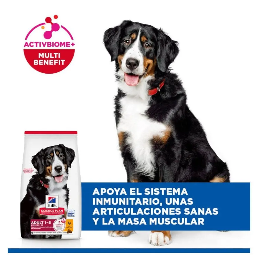 Hill's Science Plan Adult Large Breed Ração de frango para cães de raças grandes