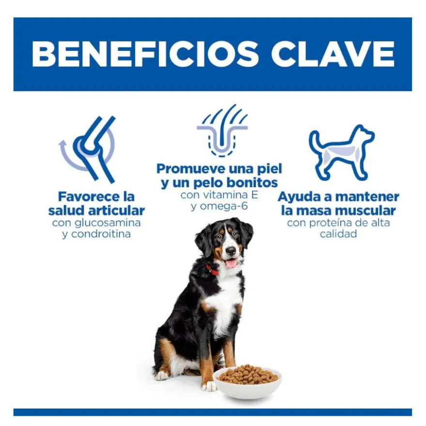 Hill's Science Plan Adult Large Breed Ração de frango para cães de raças grandes
