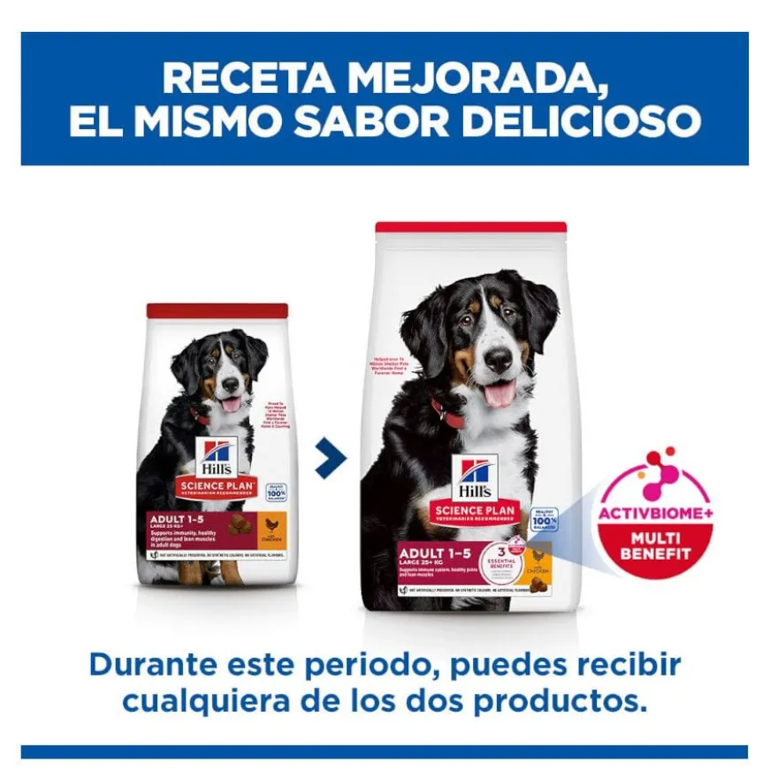 Hill's Science Plan Adult Large Breed Ração de frango para cães de raças grandes