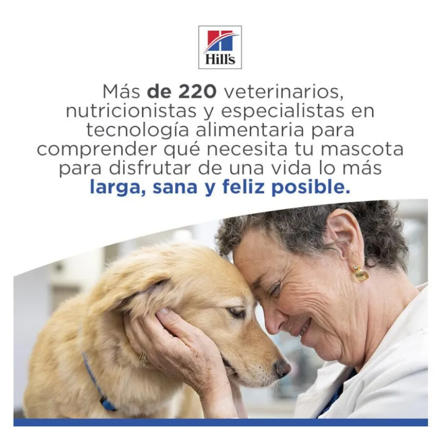 Hill's Science Plan Adult Medium Hypoallergenic Salmão ração para cães