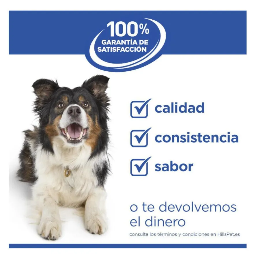 Hill's Science Plan Adult Medium Hypoallergenic Salmão ração para cães