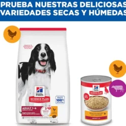 Hill's Science Plan Adult Medium Ração de frango para cães de raças médias