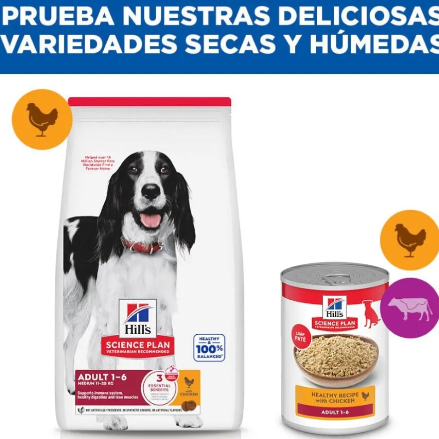Hill's Science Plan Adult Medium Ração de frango para cães de raças médias