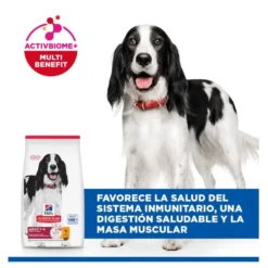 Hill's Science Plan Adult Medium Ração de frango para cães de raças médias