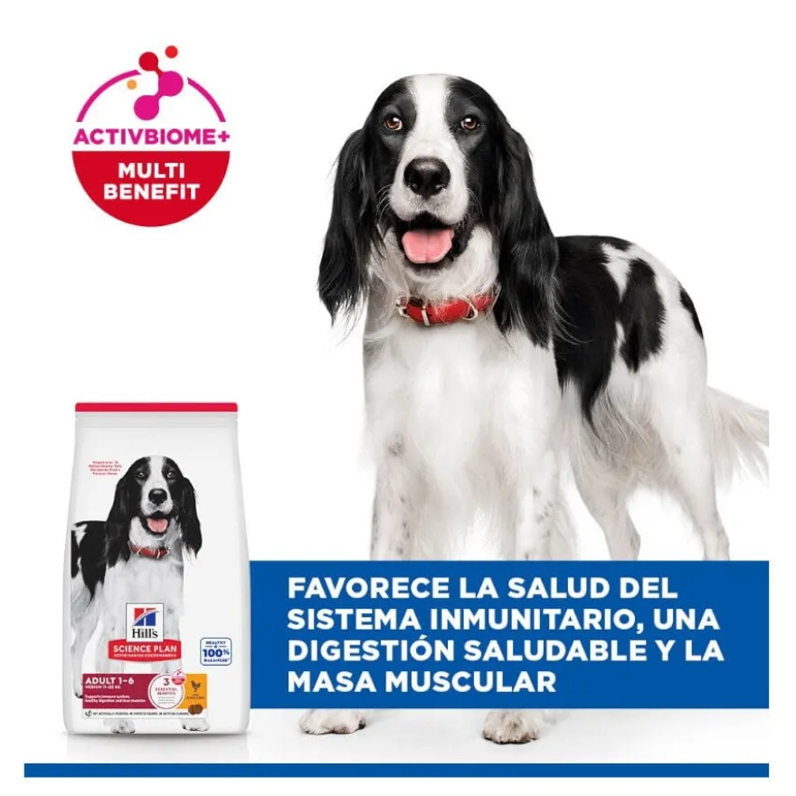 Hill's Science Plan Adult Medium Ração de frango para cães de raças médias