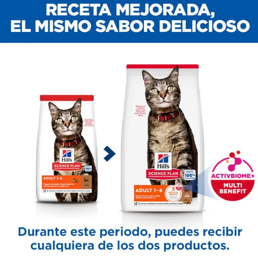 Hill's Science Plan Adult Ração de cordeiro e arroz para gatos