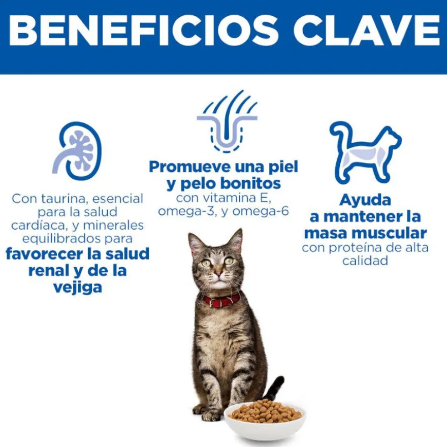 Hill's Science Plan Adult Ração de cordeiro e arroz para gatos