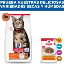 Hill's Science Plan Adult Ração de cordeiro e arroz para gatos