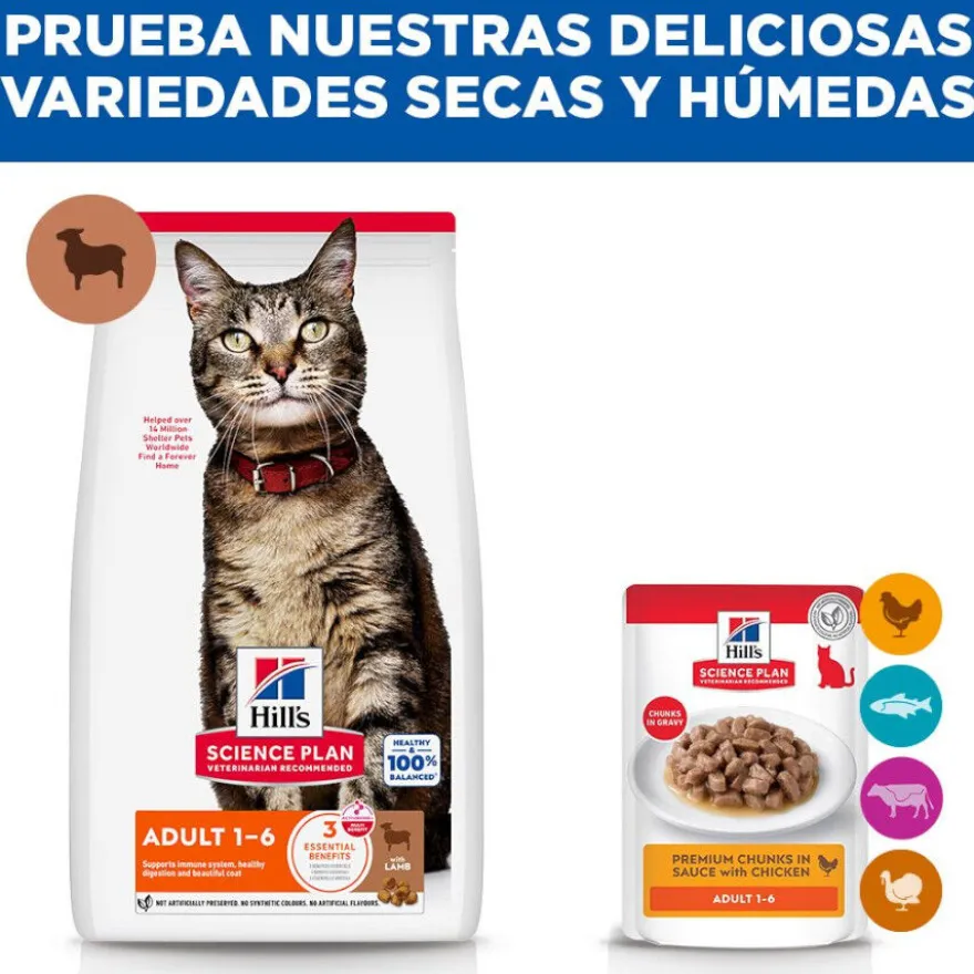 Hill's Science Plan Adult Ração de cordeiro e arroz para gatos