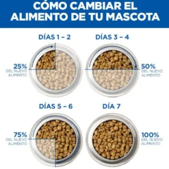 Hill's Science Plan Adult Ração de frango para gatos
