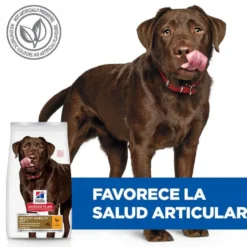 Hill's Science Plan Healthy Mobility Adult Large Frango ração para cães