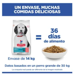 Hill's Science Plan Hipoalergénico Large Salmão ração para cães