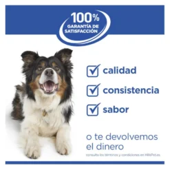 Hill's Science Plan Hipoalergénico Small e Mini Salmão ração para cães