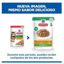 Hill's Science Plan Kitten Frango saqueta em molho