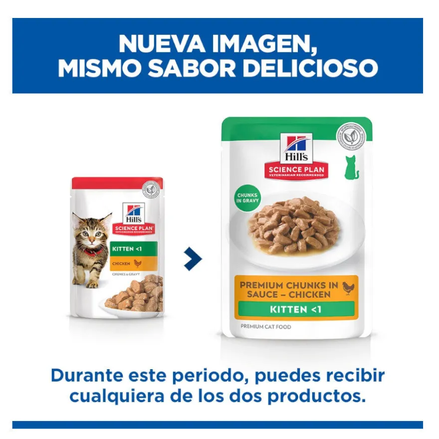 Hill's Science Plan Kitten Frango saqueta em molho