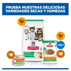 Hill's Science Plan Kitten Frango saqueta em molho