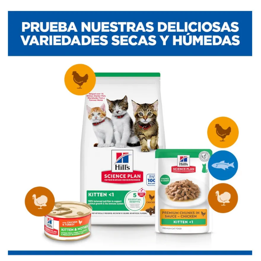 Hill's Science Plan Kitten Frango saqueta em molho
