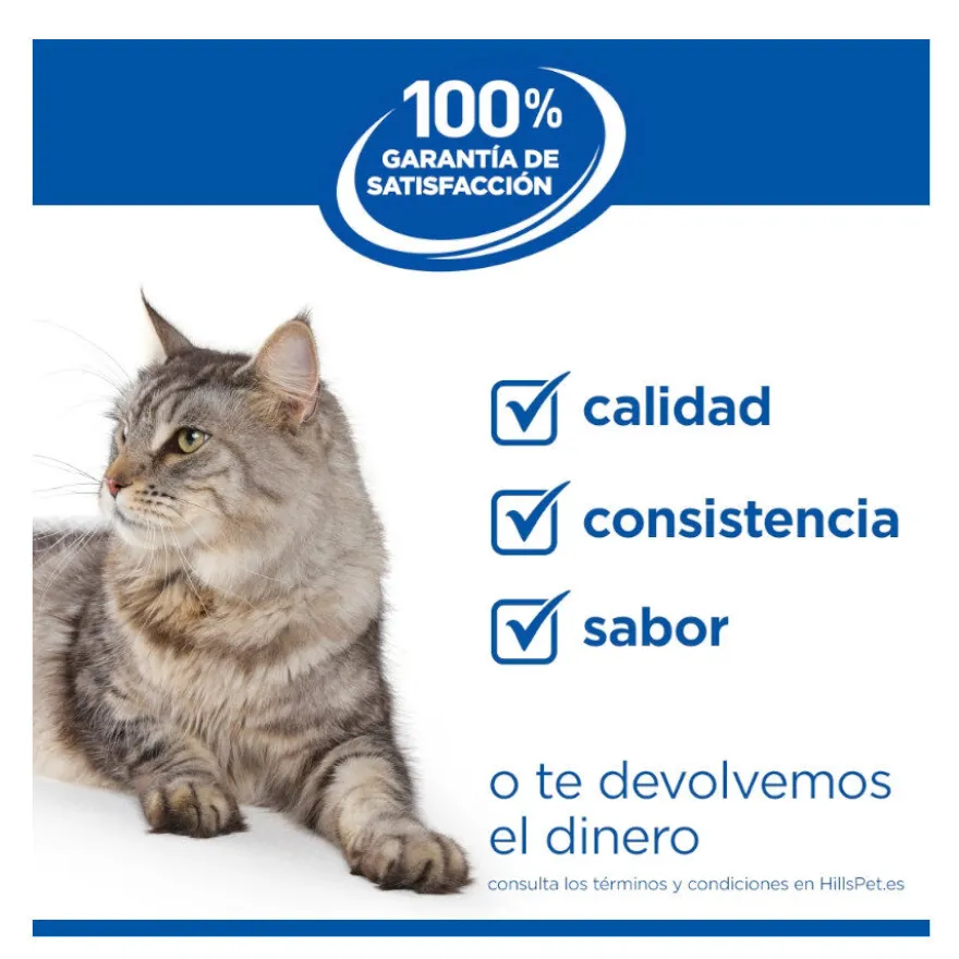 Hill's Science Plan Kitten Frango saqueta em molho