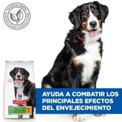 Hill's Science Plan Large Mature Adult YouthFul Vitality Frango ração para cães