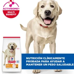 Hill's Science Plan Light Raçaõ de frango para cães adultos de raças grandes
