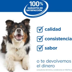 Hill's Science Plan Mature Adult Medium Ração de cordeiros e arroz para cães de raças médias