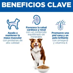 Hill's Science Plan Mature Adult Medium Ração de frango para cães de raças médias