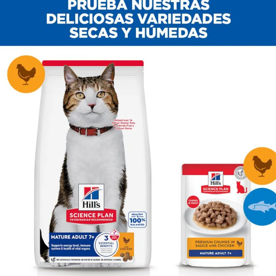 Hill's Science Plan Mature Adult Ração de frango para gatos