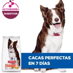 Hill'sScience Plan Perfect Digestion Medium Adult Ração de frango para cães