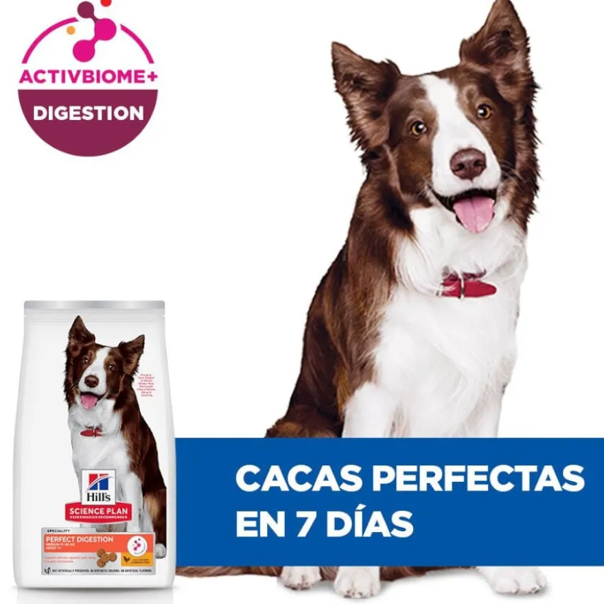 Hill'sScience Plan Perfect Digestion Medium Adult Ração de frango para cães