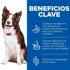 Hill'sScience Plan Perfect Digestion Medium Adult Ração de frango para cães