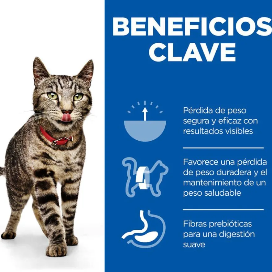 Hill's Science Plan Perfect Weight Adult frango ração para gatos