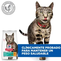 Hill's Science Plan Perfect Weight Adult frango ração para gatos